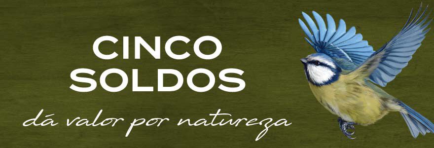 Cinco soldos - D&aacute; valor por natureza